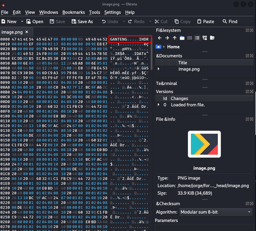 Analyzing the file with a hex editor