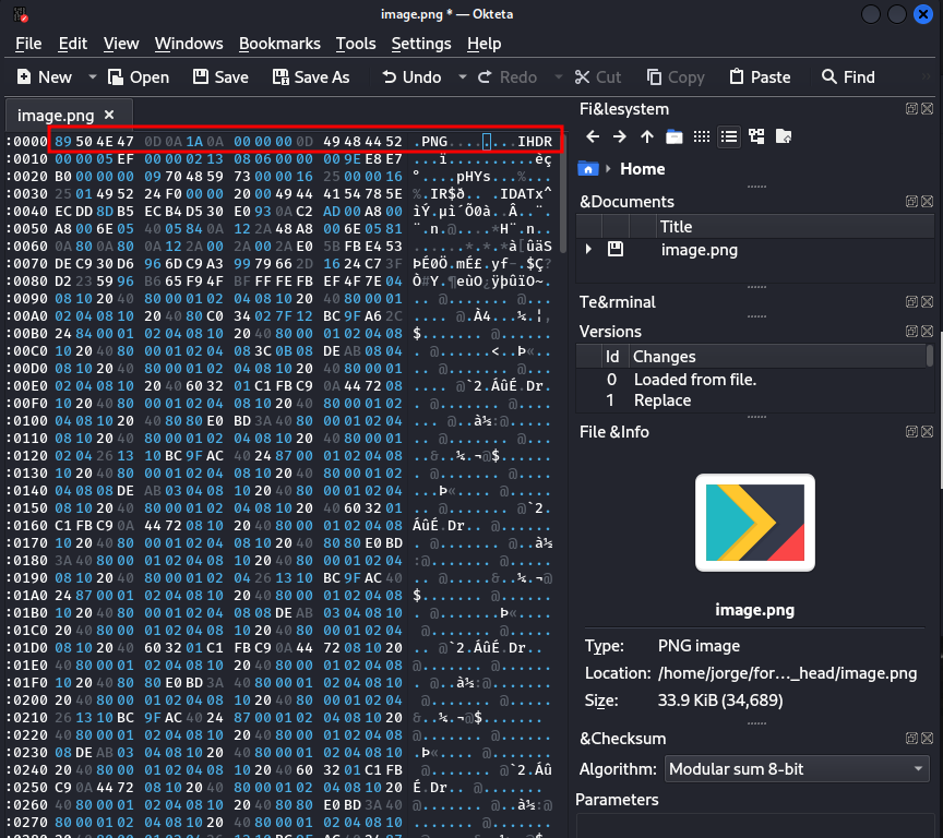 Modifying the file with a hex editor